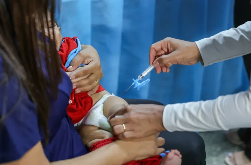 Vacinação nas escolas: crianças são imunizadas e atualizam caderneta