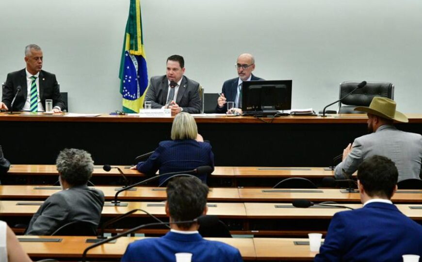 Comissão de Agricultura aprova convocação de Marina Silva e convite a Paulo Teixeira