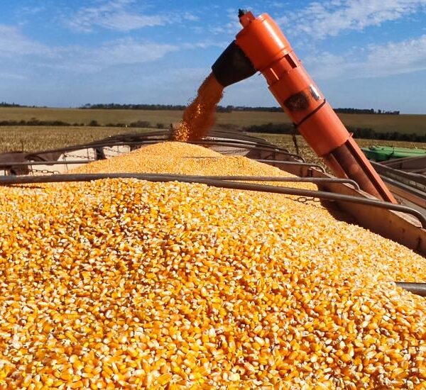 Produção de etanol de milho cresce no país…
