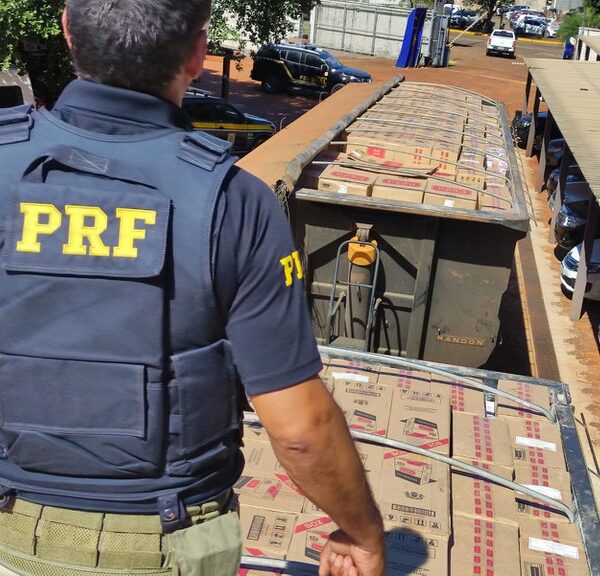Polícia apreende 500 mil maços de cigarros em…