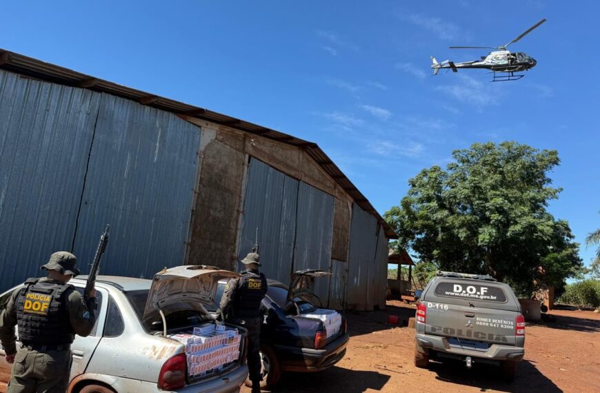 DOF apreende 2 carros carregados com materiais ilegais avaliados em R$ 300 mil