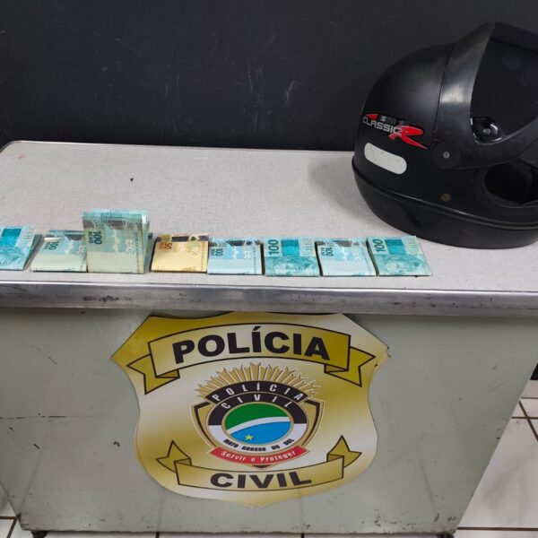 Polícia Civil prende em flagrante autor de furto…