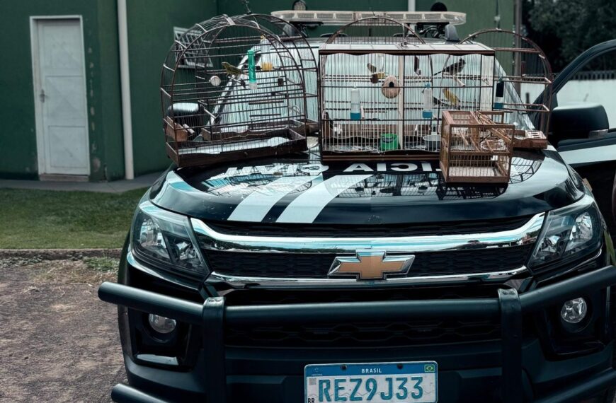 Polícia Civil identifica crime ambiental durante cumprimento de…