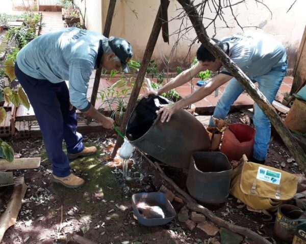 Mato Grosso do Sul registra 4.517 casos confirmados…