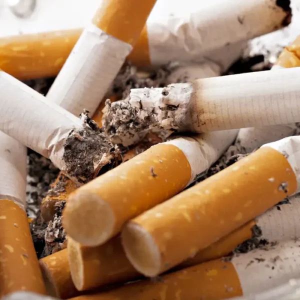 Cigarro: R$ 1 de lucro da indústria equivale…