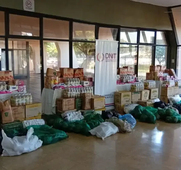 Alimentos apreendidos em contrabando são doados em Pedro…