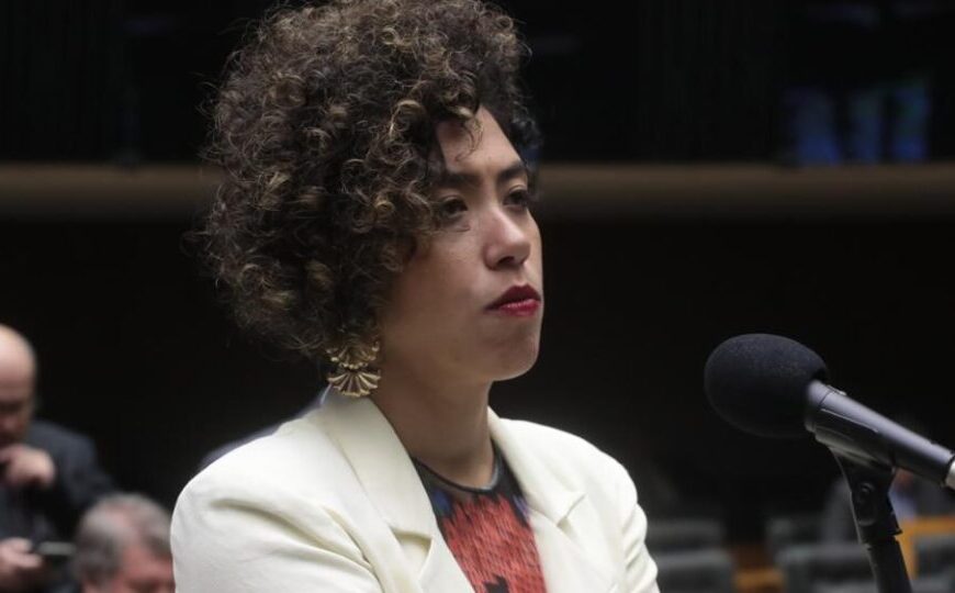 Com baixa representatividade, Psol utiliza STF para impor…