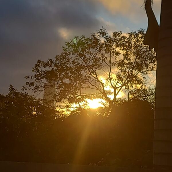 Sábado de sol e calor em toda a…