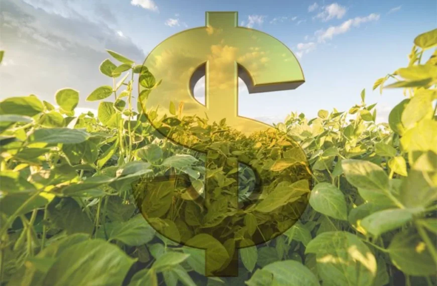 Tributação das LCAs ameaça financiamento ao agro, aponta CNA