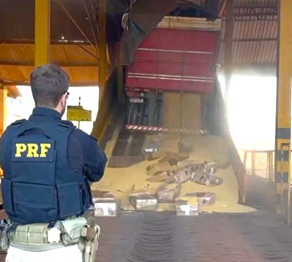 PRF apreende mais de cinco toneladas de maconha&hellip;