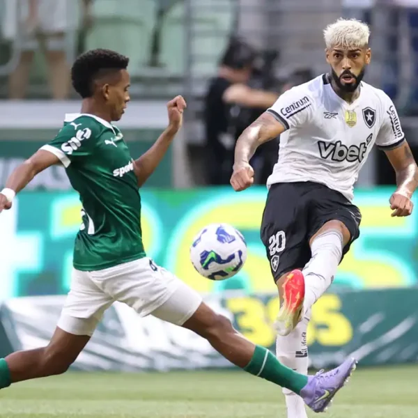 Botafogo e Palmeiras abrem oitavas de final do&hellip;