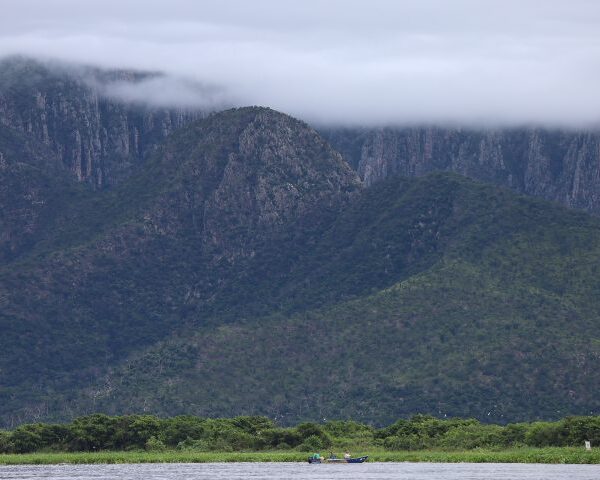 MS fortalece pauta ambiental com Fórum de Mudanças…