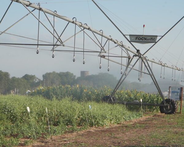 Vitrines Tecnológicas do Pantanal Tech MS trazem inovação&hellip;
