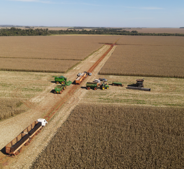 Colheita do milho 2ª safra 2024/2025 avança em&hellip;