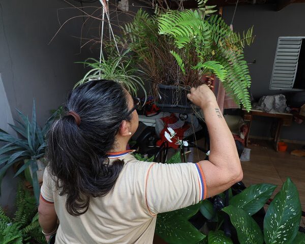 Mato Grosso do Sul registra 6.523 casos confirmados&hellip;