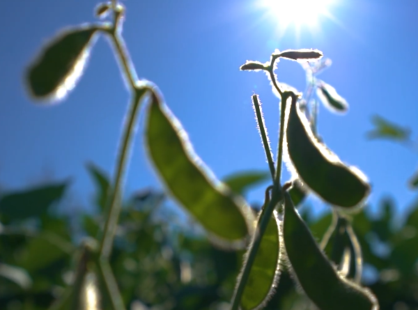 Tributação do IOF vai impactar o Plano Safra&hellip;