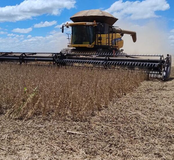 Produtividade estadual da safra de soja 24/25 é…