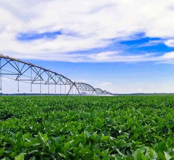 Irrigação impulsiona agricultura sustentável e coloca MS entre&hellip;