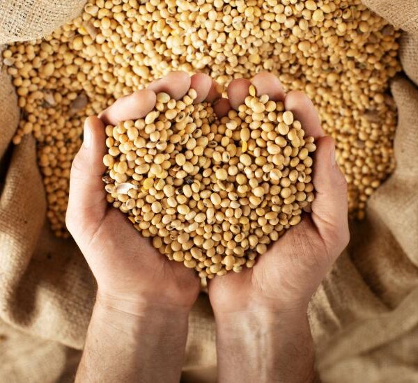 Seminário debate os desafios da liderança brasileira no&hellip;