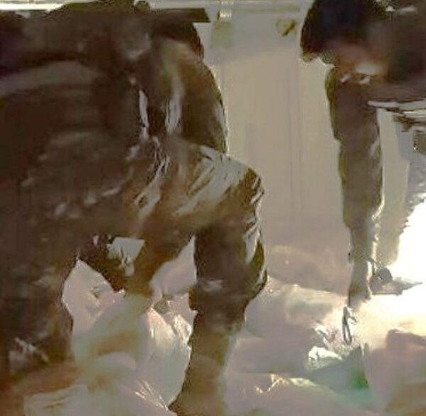 Carga de peixe escondia mais de 5 toneladas&hellip;