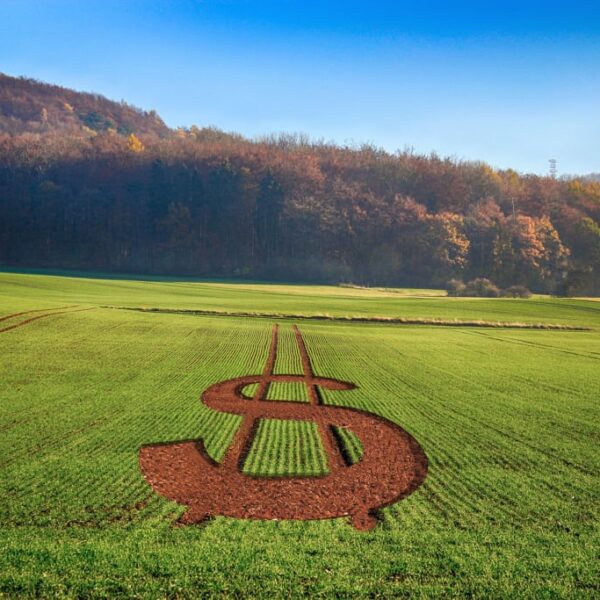 Seguro rural: Ministério confirma bloqueio de R$ 445&hellip;