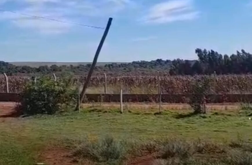 Presença de onça assusta moradores no distrito de Nova Itamarati, em Ponta Porã