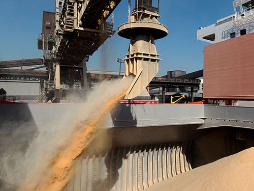 Brasil deve exportar quase 12…