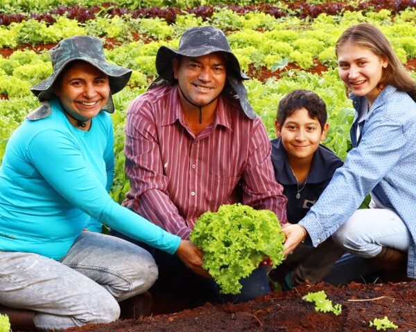 Novo recorde na agricultura familiar é projetado após&hellip;
