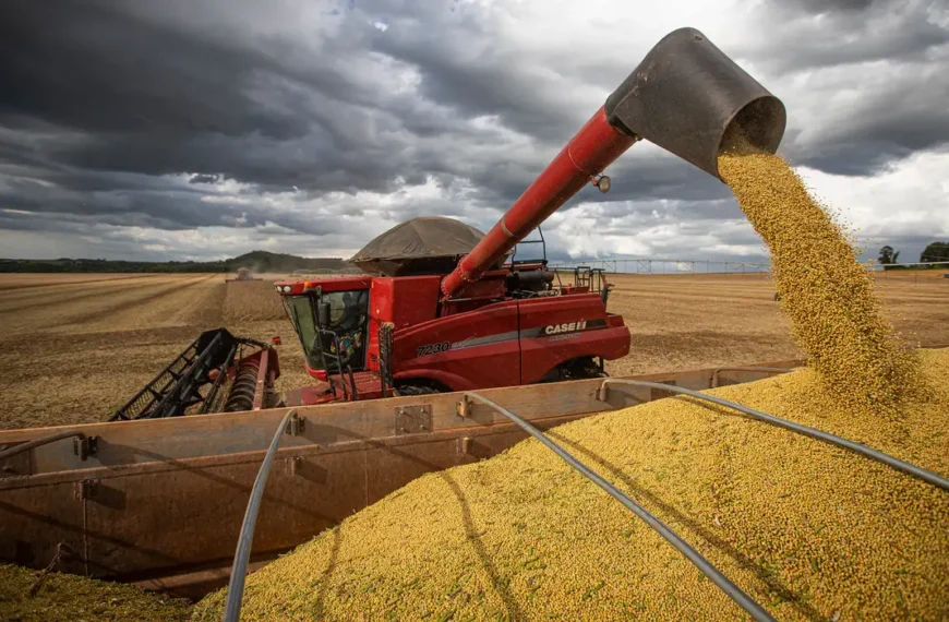 Produção brasileira de grãos deve ser 14,2% maior