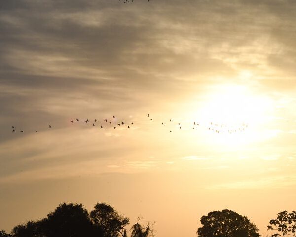 Domingo com possibilidade de chuva em Ponta Porã