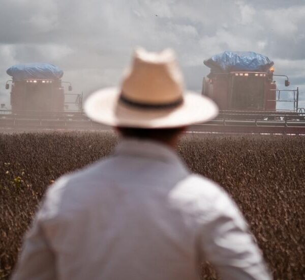 Plano Safra 2025/2026 tem recursos mais caros da&hellip;