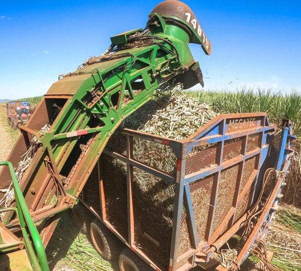 Tarifaço pode eliminar 110 mil empregos e causar&hellip;