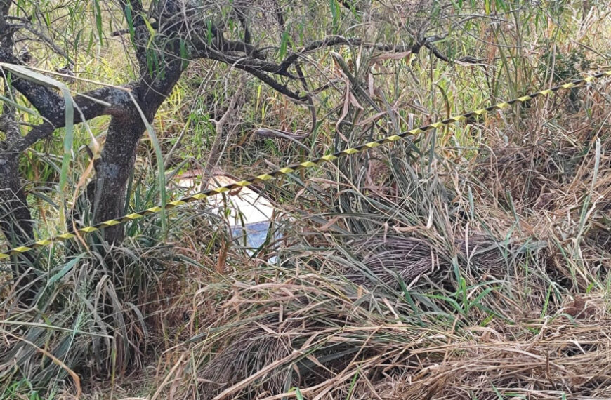 Carro sai da pista e 2 trabalhadores de usina morrem na MS-145