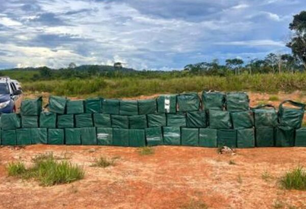 Polícia apreende mais de meia tonelada de cocaína&hellip;