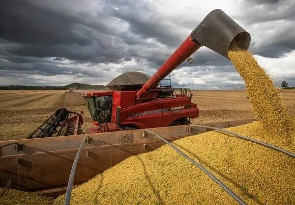 Ponta Porã está entre os 100 municípios mais&hellip;