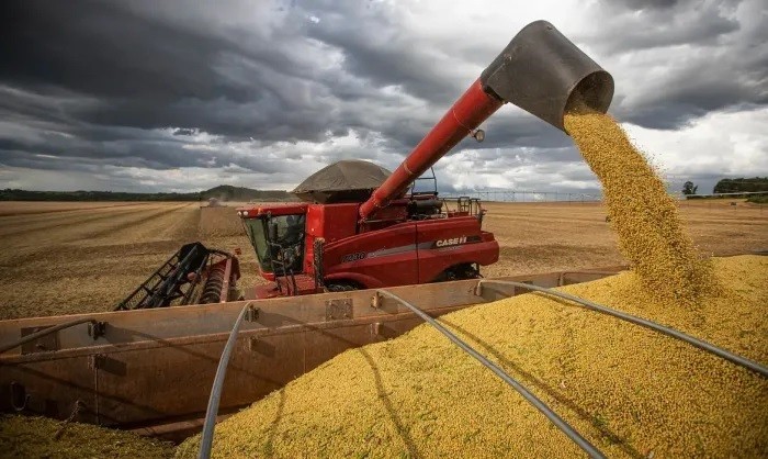 Ponta Porã está entre os 100 municípios mais ricos do agronegócio no Brasil