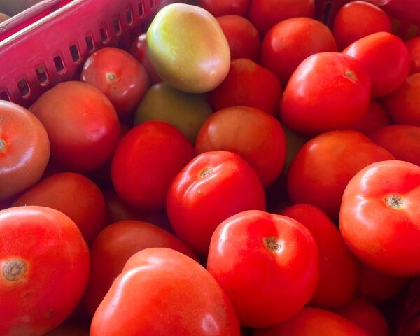 Alface e tomate estão mais baratos enquanto pepino&hellip;