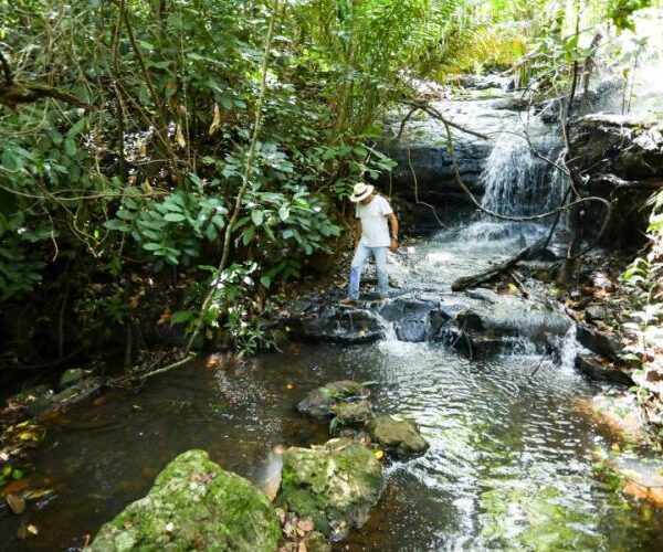 Propriedades rurais de MS ampliam práticas sustentáveis e&hellip;