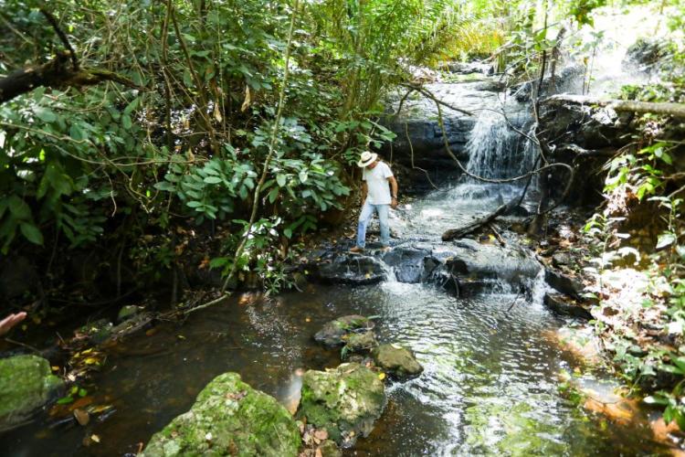 Propriedades rurais de MS ampliam práticas sustentáveis e atingem 71% de conformidade