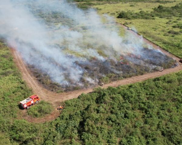 Governo suspende queima controlada até novembro e amplia&hellip;