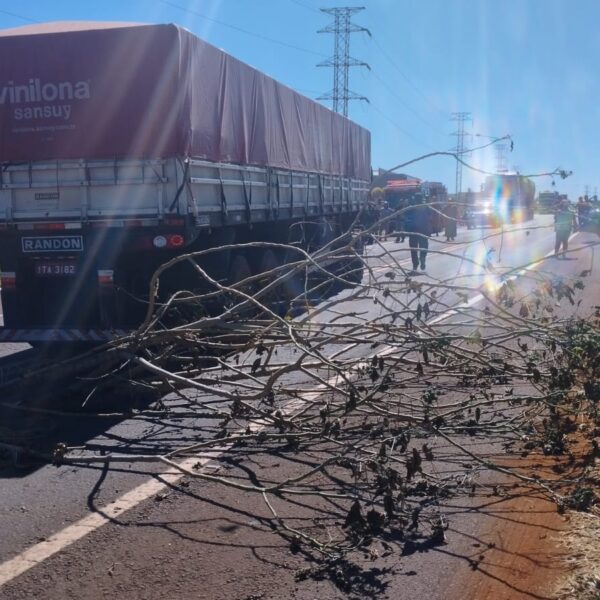 Após outra morte por atropelamento, indígenas bloqueiam Anel&hellip;