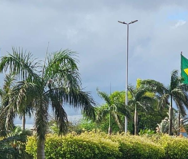 Dia de sol e máxima de 30ºC em&hellip;