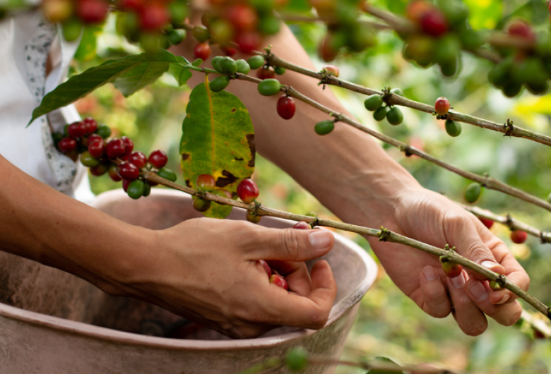 Mapa divulga instituições habilitadas a&hellip;