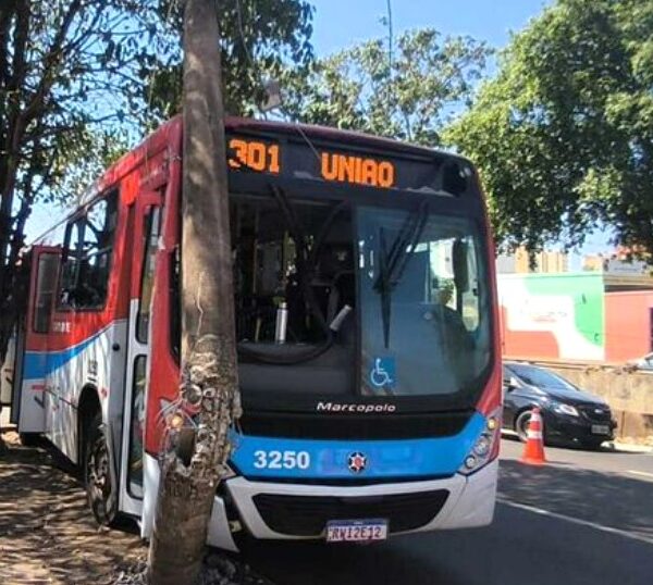 Ônibus de transporte coletivo bate em poste, árvore&hellip;