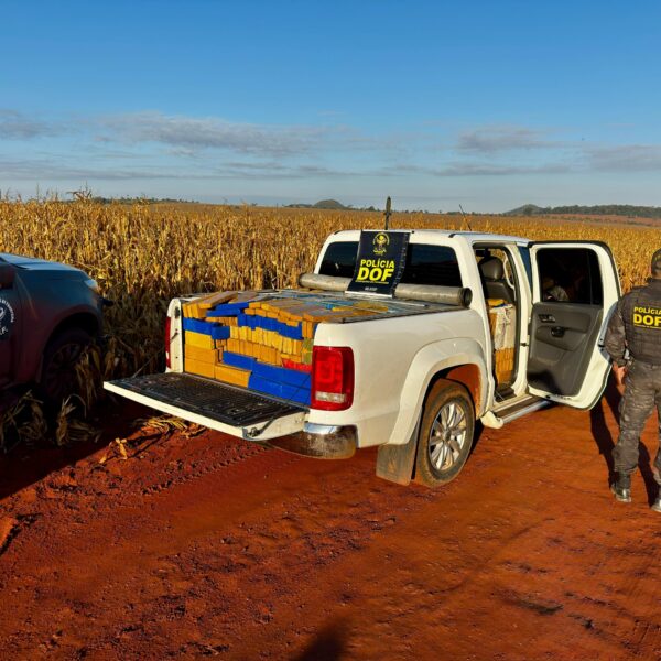 Apreensões de drogas pelo DOF crescem mais de&hellip;