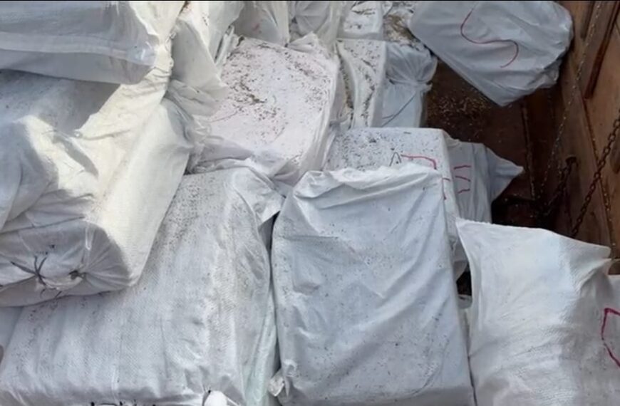 Pesou mais de 7 toneladas a carga de maconha apreendida em Vista Alegre