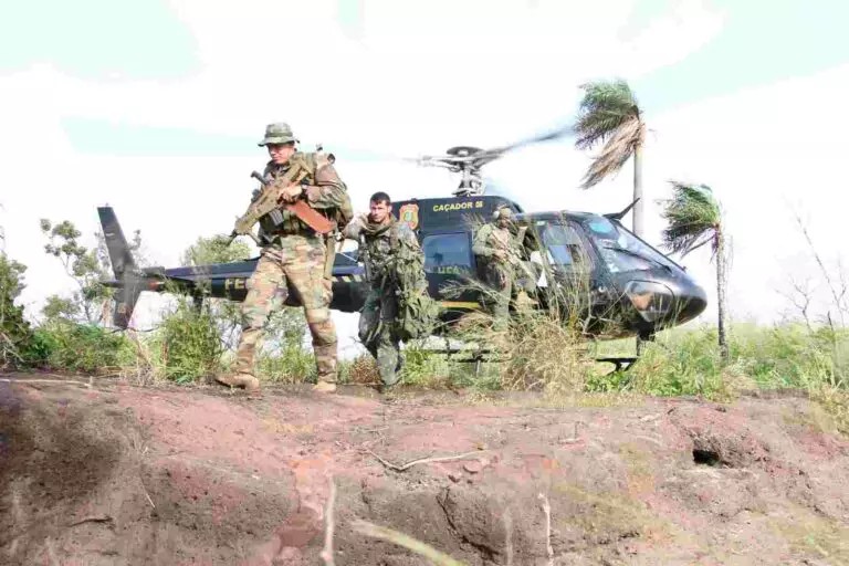 Brasil amplia esforços para rastrear e analisar a maconha produzida no Paraguai