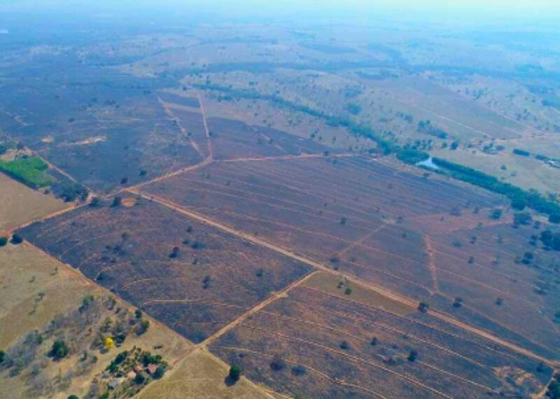 Incêndio provocado por caminhão com carga de algodão destrói mais de 2 mil hectares