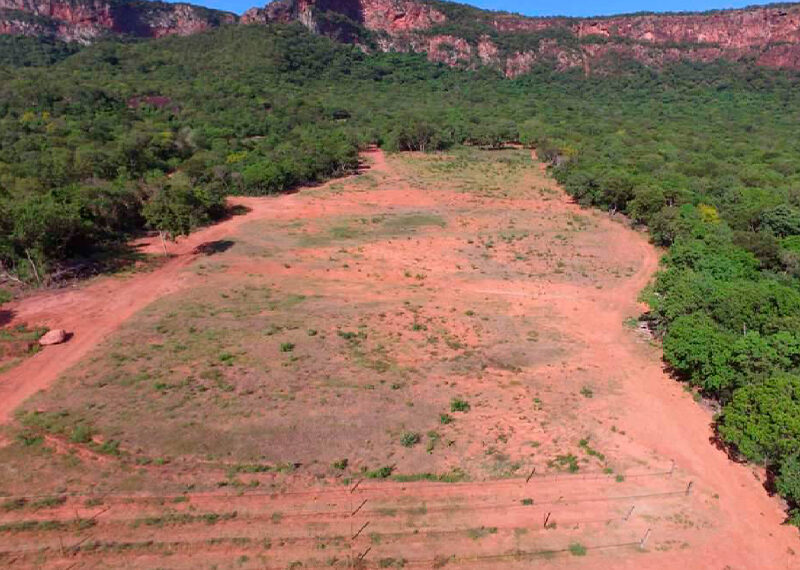 Vinícola no Pantanal firma compromisso para recuperação ambiental