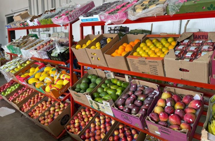 Frutas, verduras e sucesso: Ceasa de MS impulsiona negócios em todo o estado